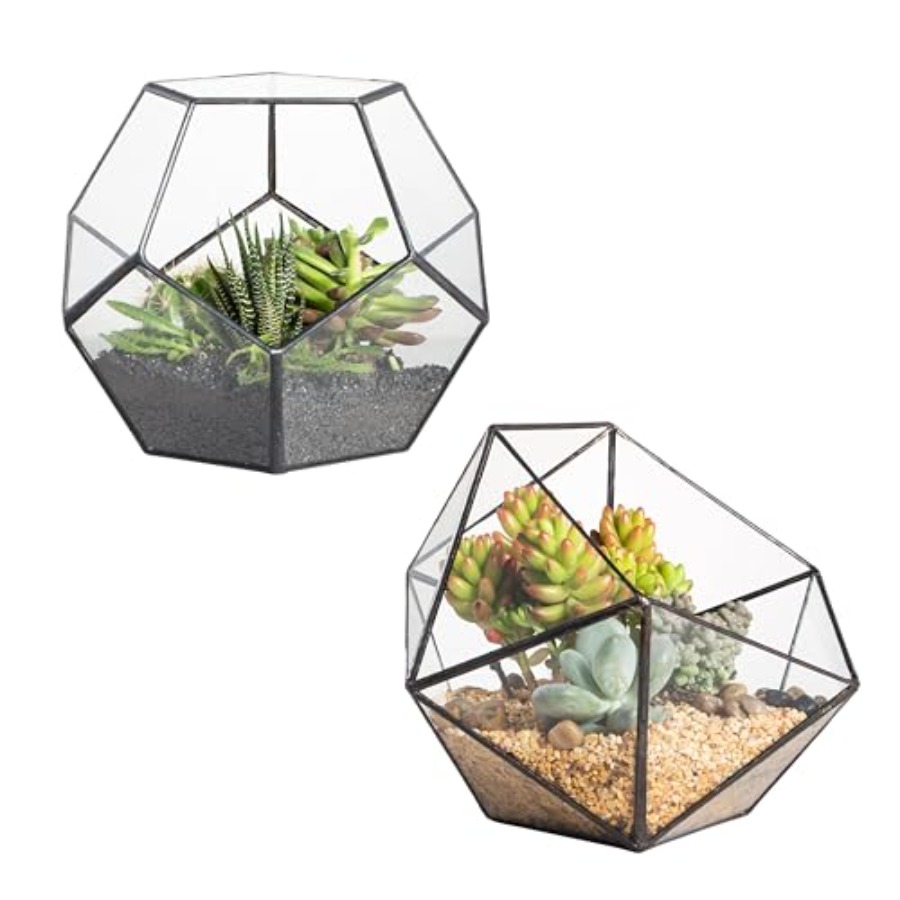 Home Decor Garden Ideas - Glass Terrarium for indoor home garden