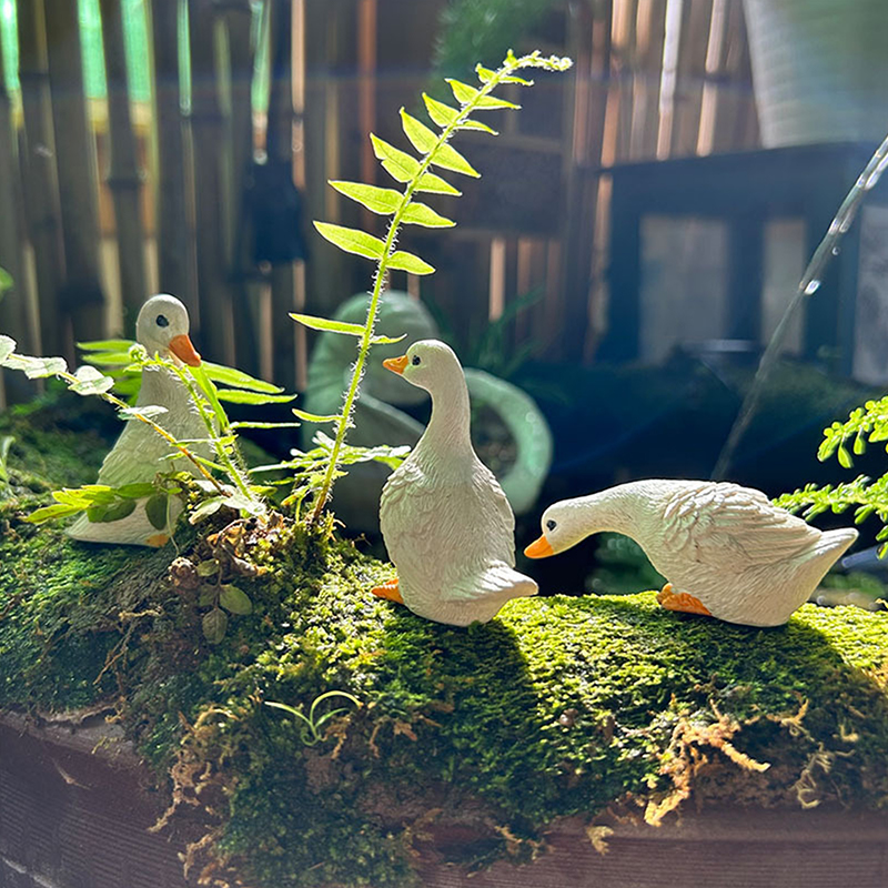 3pcs Cute White Duck Hydroponi - огляд і ціна Home Decor Duck