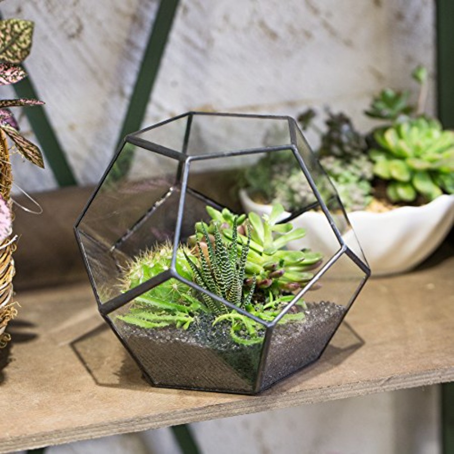 Glass Terrarium for indoor hom - огляд і ціна Home Decor Garden Ideas