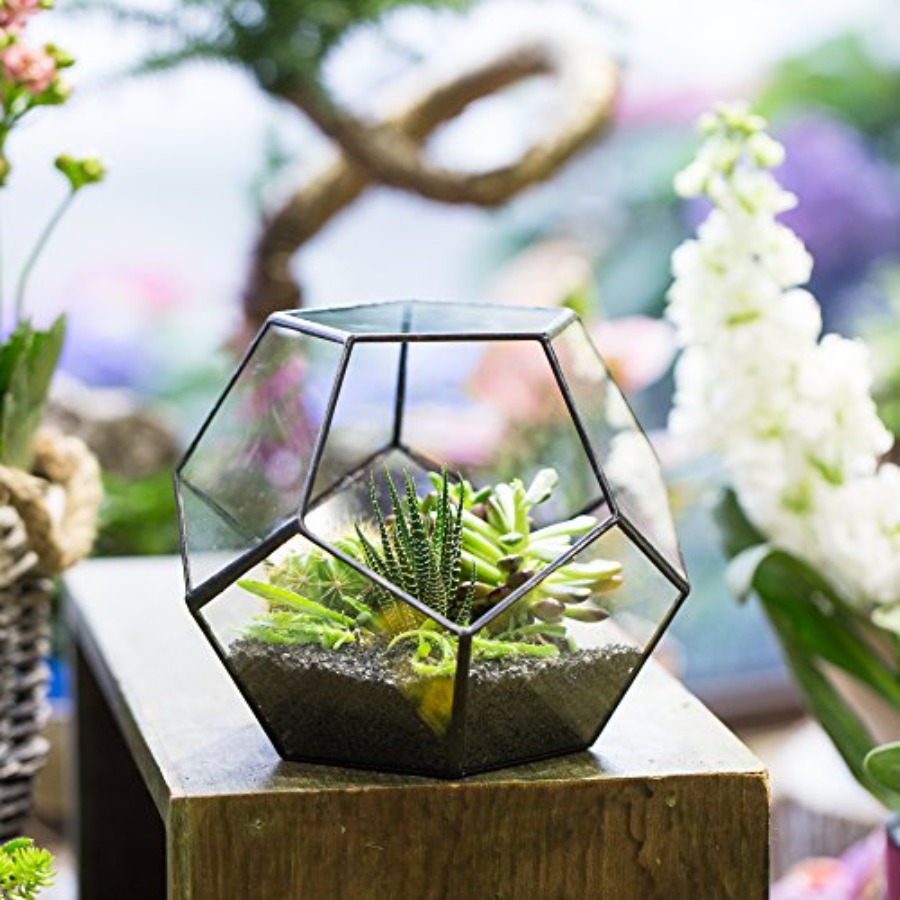 Glass Terrarium for indoor hom - огляд і ціна Home Decor Garden Ideas